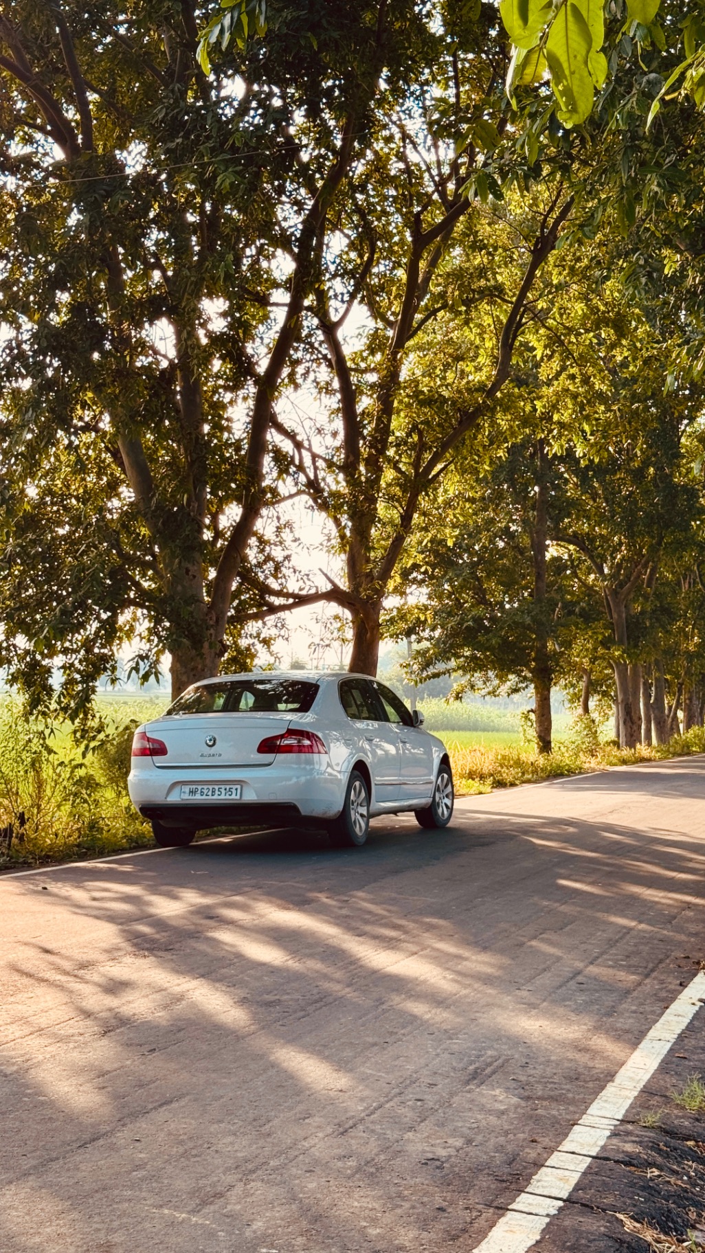 Divjot Singh's Skoda or Volkswagen, The German District gallery